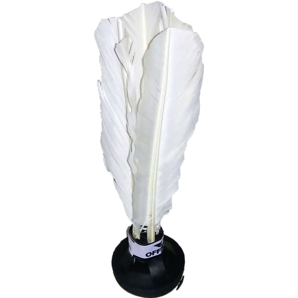 Peteca Recreação Com 02 Unidades