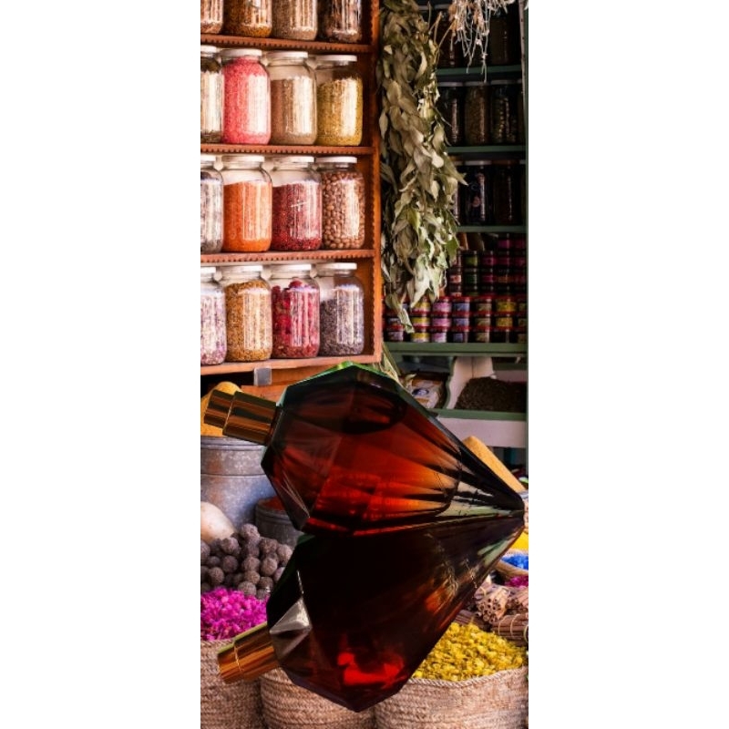 Perfume Alien 100ml: Onde Comprar | BuscaProdutos