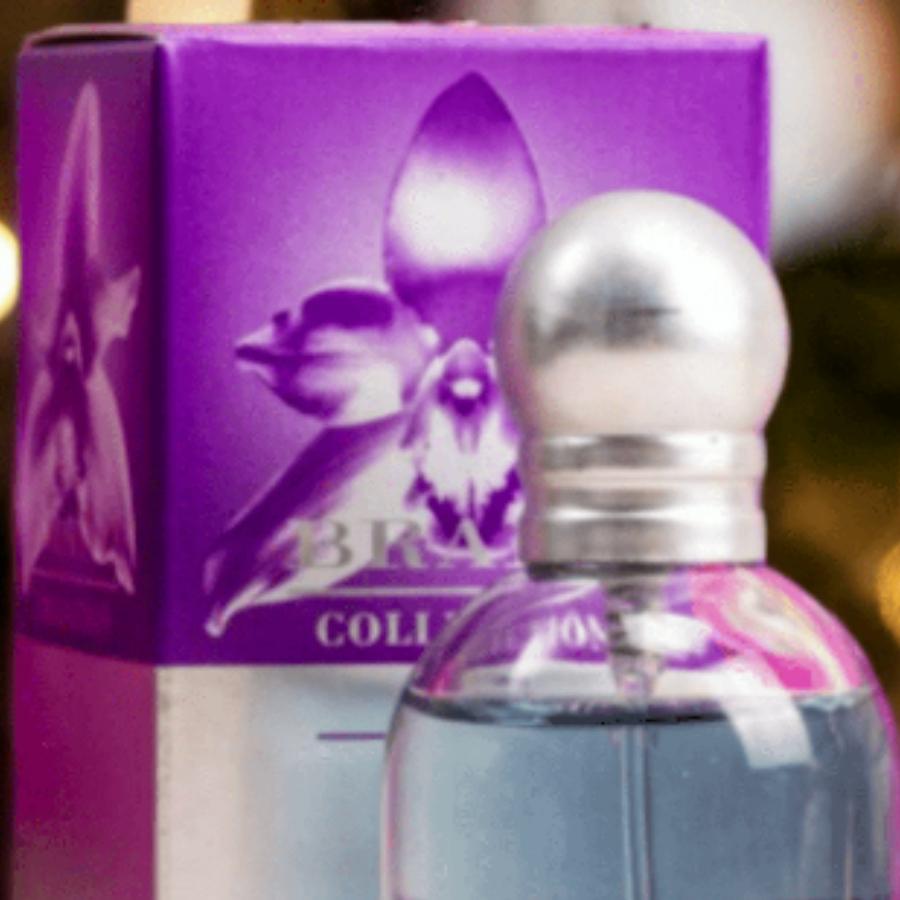 Carlotta Perfume Brand Collection: Onde Comprar | BuscaProdutos
