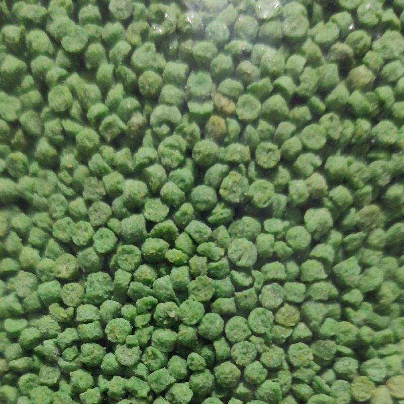 PSITAGREEN Extrusada média para psitacídeos (CALOPSITA - RING-NECK - ROSELA - AGAPÓRNIS - LÓRIS -CATURITA - RED RUMPED — imagem 2 de 2