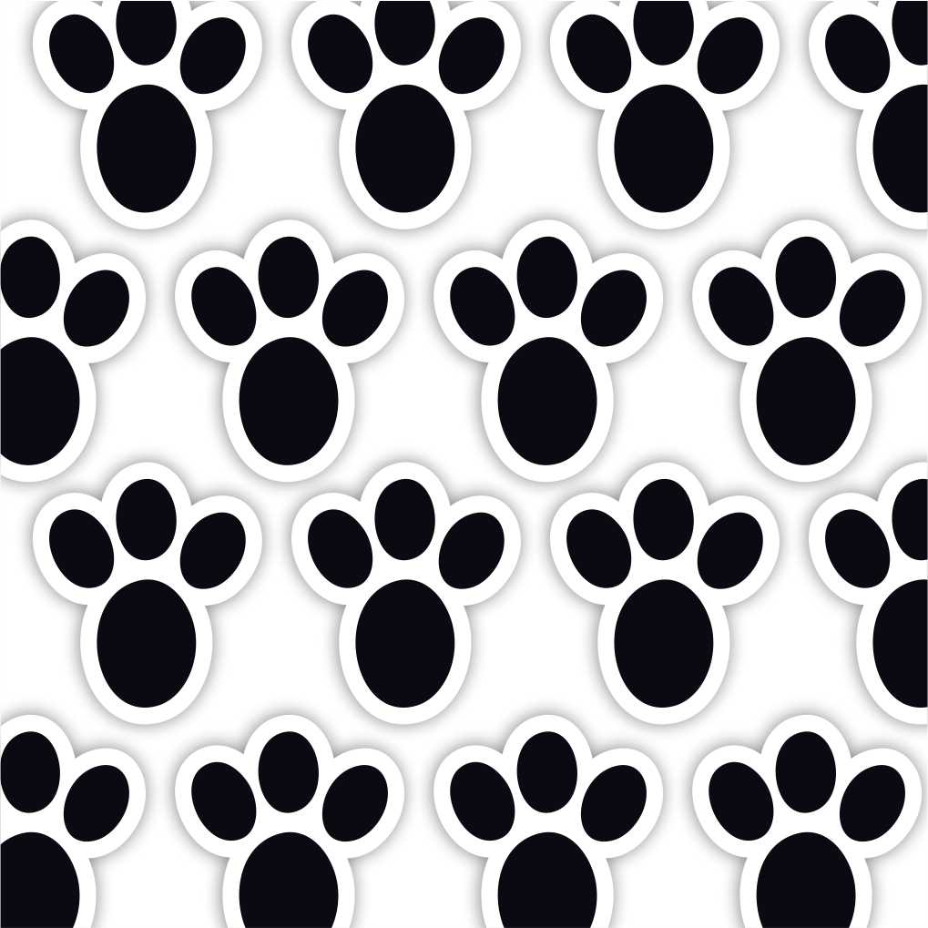 Adesivos Patinhas Coelho: Onde Comprar | BuscaProdutos