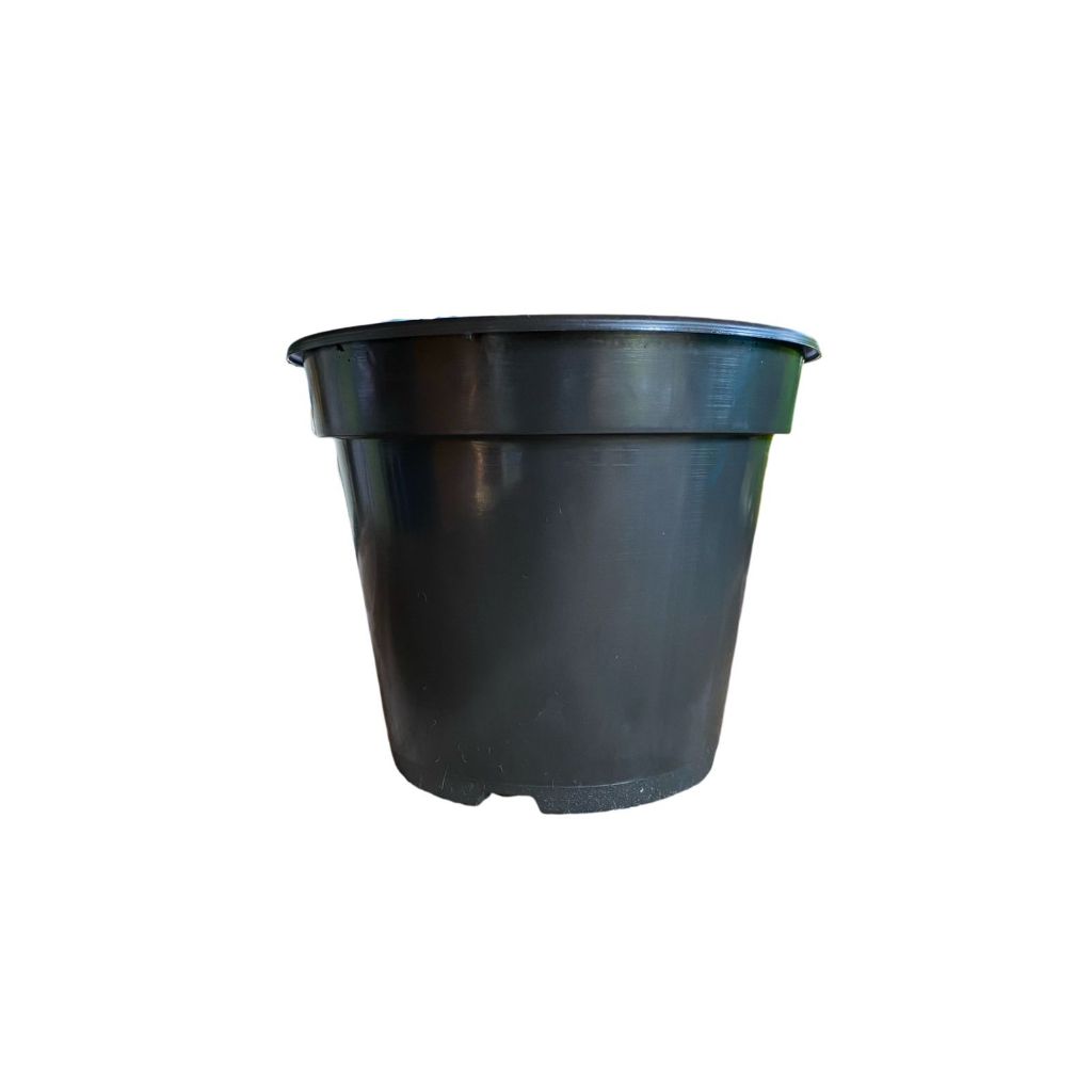 Kit 200 Vasos Pote 15 Plástico Plantas Mudas Flores Orquídeas