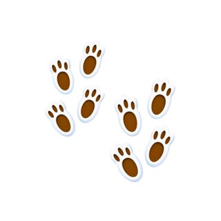 KIT 12  OU 24 PEGADAS DE COELHO em Oferta na Shopee