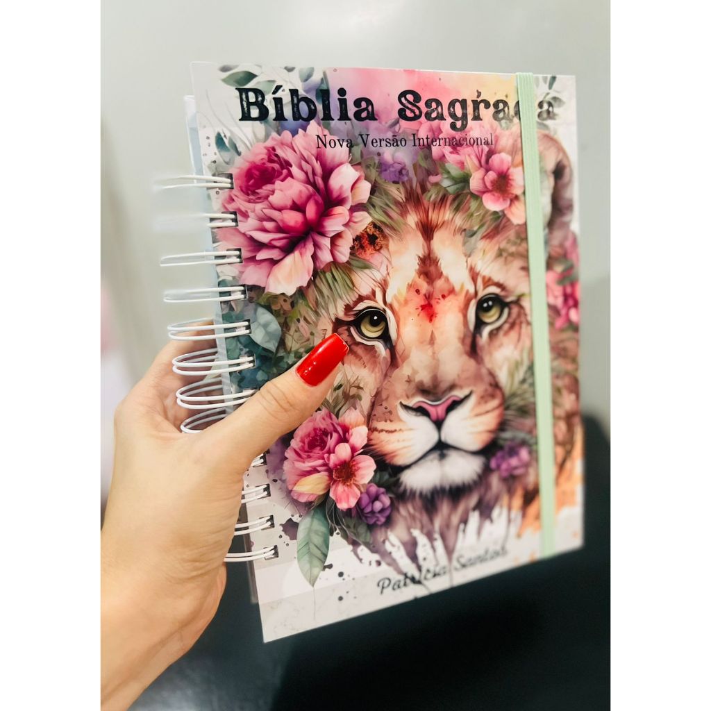 Bíblia Sagrada Nvi Pequena: Onde Comprar | BuscaProdutos