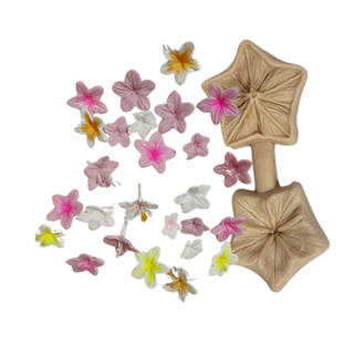 Molde de Silicone - Molde frisador flor estrela - cód 1454 em Oferta na Shopee