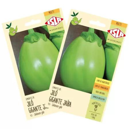 Sementes de Jiló  Gigante Jaíba em Oferta na Shopee