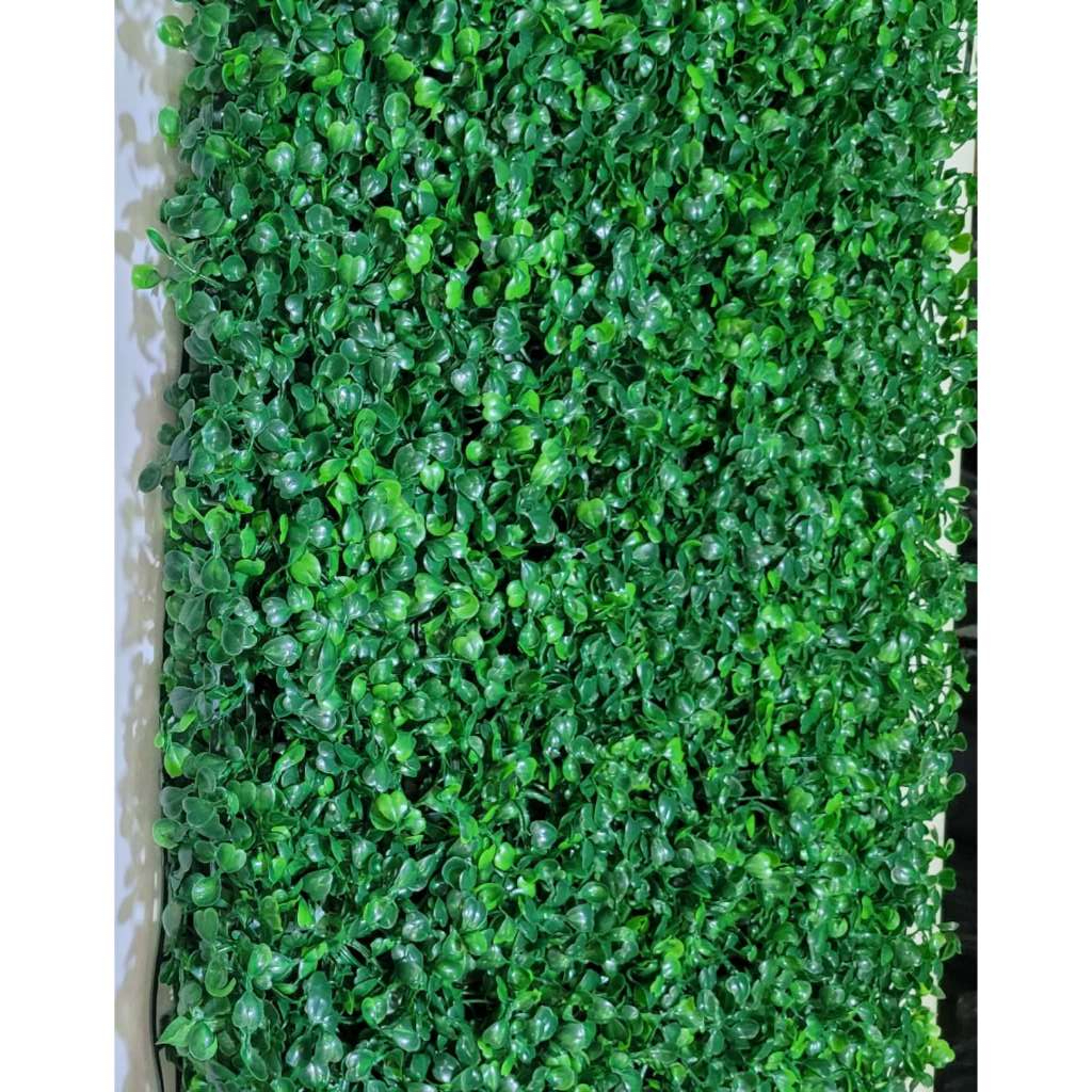 kit com 4 Muro inglês de buchinho verde  40x30 cm