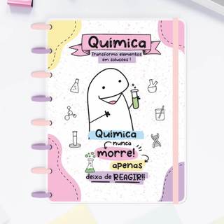 CADERNO DE DISCO PROFISSÕES FLORK - CADERNO REPOSICIONÁVEL - CAPA FLEXÍVEL - 80 FOLHAS 90GR - DIVERSAS PROFISSÕES