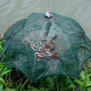 Armadilha De Pesca Covo - Formato Guarda Chuva - 8 Entradas em Oferta na Shopee