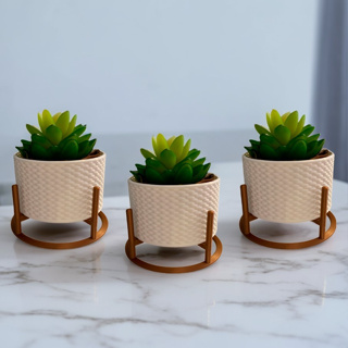 3 Vasos Cachepot Decorativo Com Suporte Para Mini Cactos ou Suculentas ou Plantas Artifici...