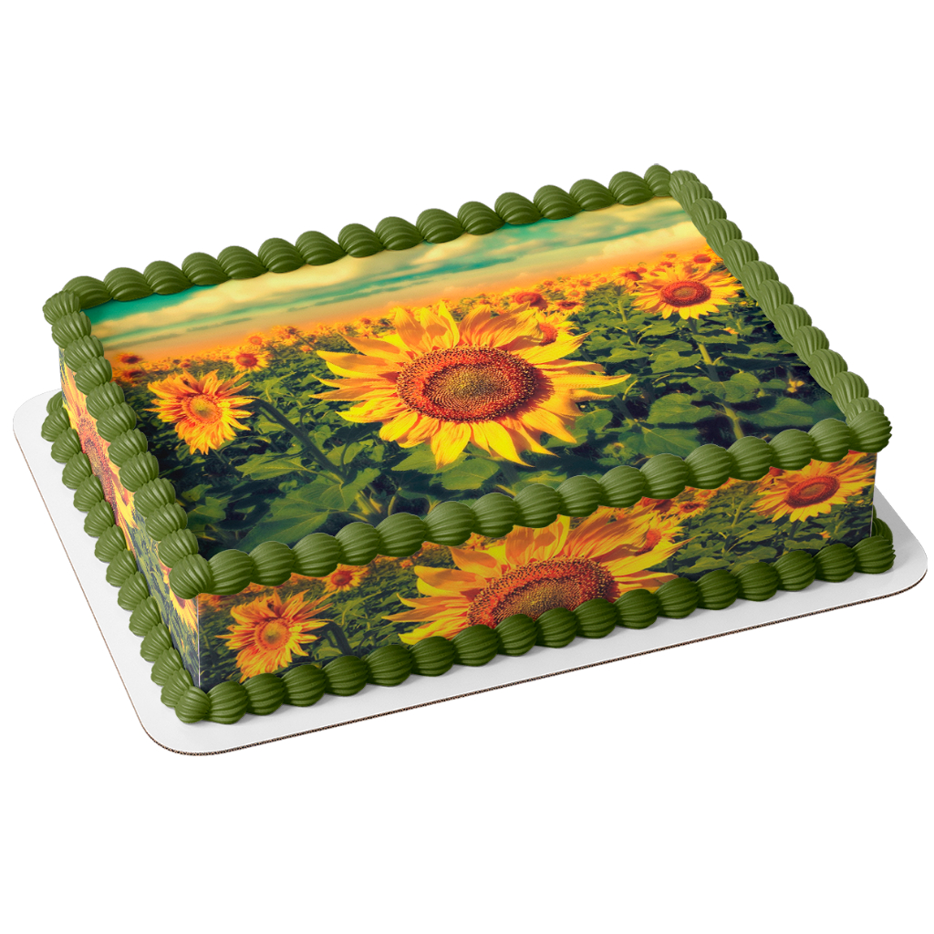 Papel arroz e faixas comestível para bolo feliz aniversário comemoração tema flores girassol em Oferta na Shopee