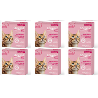 Chemital Gatos - 4 Comprimidos - Vermifugo Kit 6 Unid em Oferta na Shopee