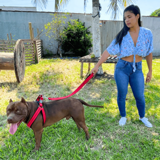 Coleira Peitoral Americano para cachorro super resistente confortável regulável em Oferta na Shopee