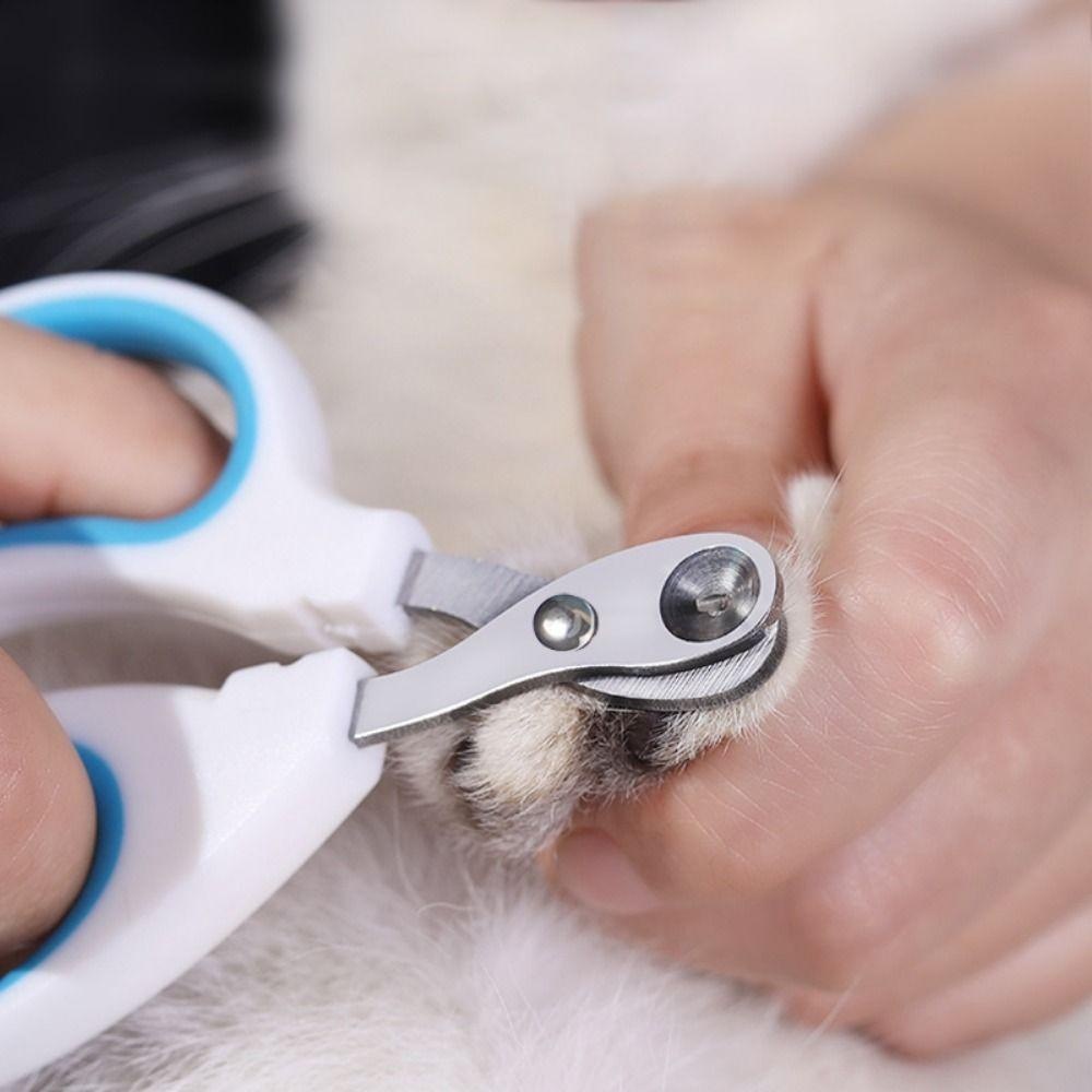 Cortador De Unhas Alicate Com Furo Para Gato Corte Preciso Evita Sangramento Aço Inoxidável Tesoura Sem Deslizamento Pássaros em Oferta na Shopee