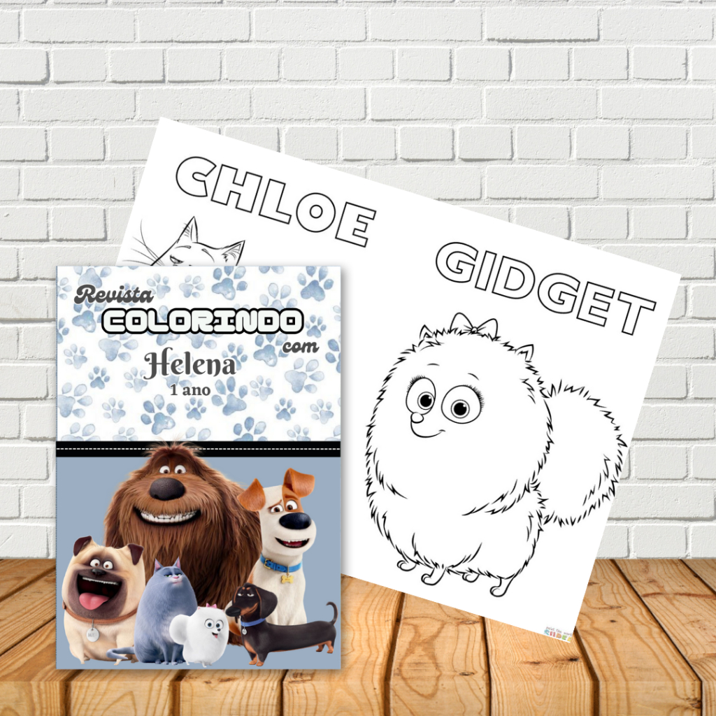 KIT LIVRO DE COLORIR PERSONALIZADO TEMA PETS A VIDA SECRETA DOS BICHOS - LEMBRANCINHAS DE ANIVERSÁRIO INFANTIL - VÁRIOS TEMAS