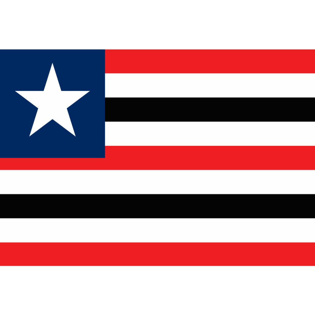 Bandeira do Maranhao: Onde Comprar | BuscaProdutos