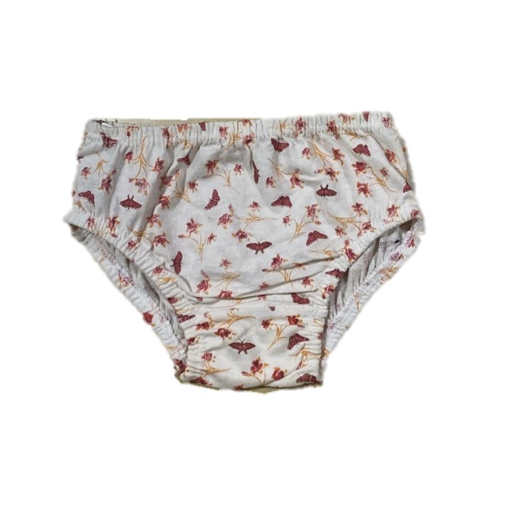 Kit de Calcinhas Femininas Infantis, 6 Peças, Estampas Sortidas, Tamanho P/M/G/GG, Algodão