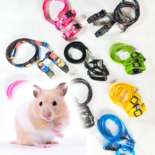Coleira Peitoral Para Roedores Hamster E Twister em Oferta na Shopee
