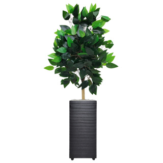 Bambu Artificial Enfeite Sala + Vaso Decoração em Oferta na Shopee