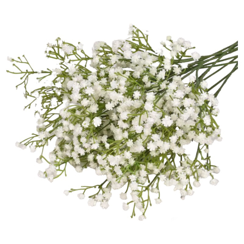 Gipsofila Flor: Guia Completo e Onde Comprar | BuscaProdutos