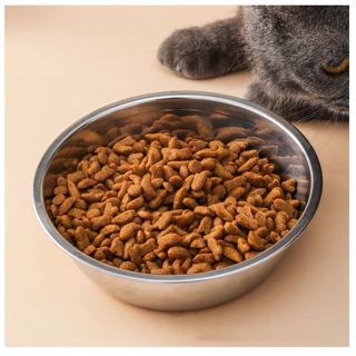 Pote Tigela De Inox 450ml/200ml Vasilha Comedouro Para Pet Gato Cachorro em Oferta na Shopee