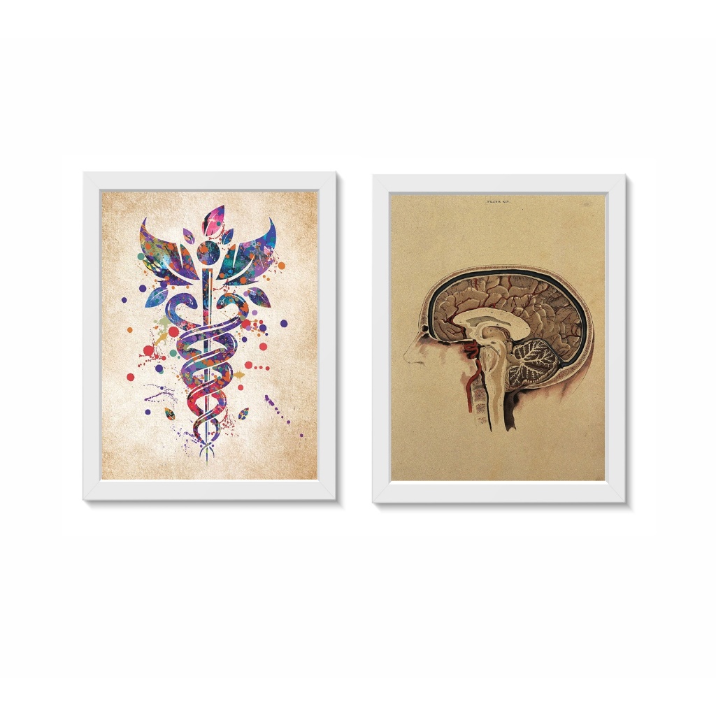 Kit 2 Quadros Decorativos Cérebro Caduceu de Hermes Neurologia Medicina Consultório Clínica Molduras 20x30cm Madeira