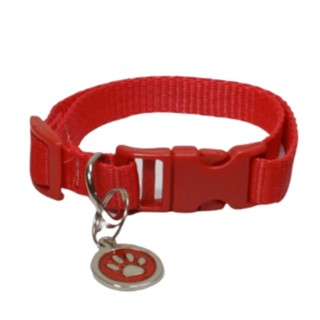 COLEIRA CÃO LISA COM PINGENTE PARA PORTE PEQUENO em Oferta na Shopee