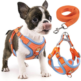 Coleira Peitoral coleira para cachorro com guia para pet pequenos e médios colete confort…