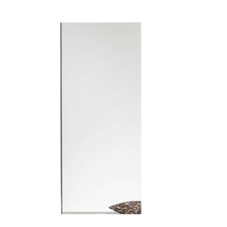 Espelho Corpo Inteiro 100x40cm Fixação Parede Grande Provador Quarto Lapidado Polido em Oferta na Shopee