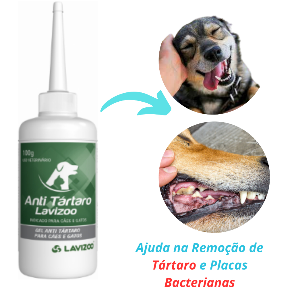 Anti Tartaro Lavizoo 100g Gel Cães E Gatos Removedor de Tártaro em Oferta na Shopee