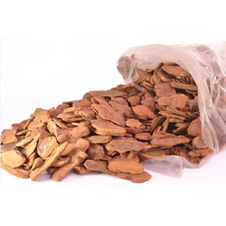 Casca de Pinus - 1 kg - Semi Polida Natural  - Jardinagem Decoração Acabamento - Substrato em Oferta na Shopee