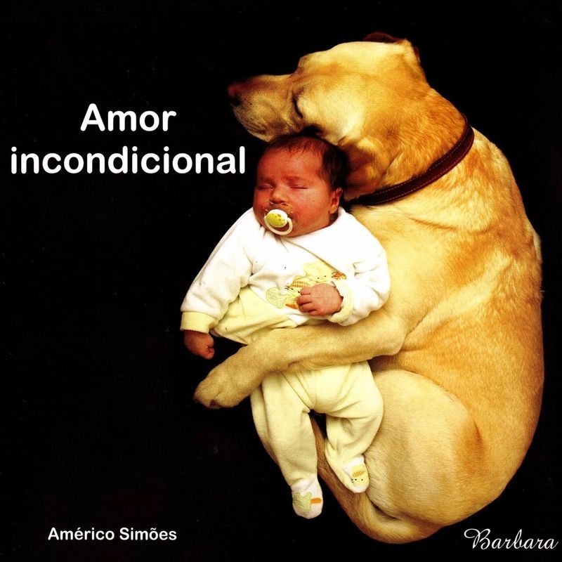 FALE ANTES NO CHAT // Américo Simões - Amor incondicional (Usado)