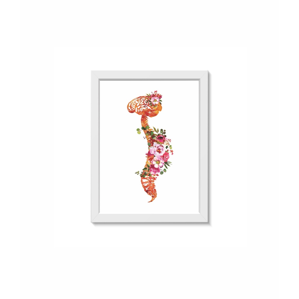 Quadro Decorativo Cérebro Coluna Vertebral Consultório Clínica Neurologia Medicina Moldura Madeira Vidro Cor Branca