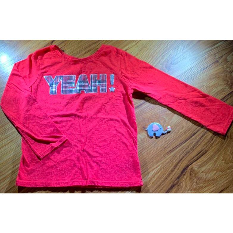 Camiseta Garanimals tamanho 3 anos importada (desapego)