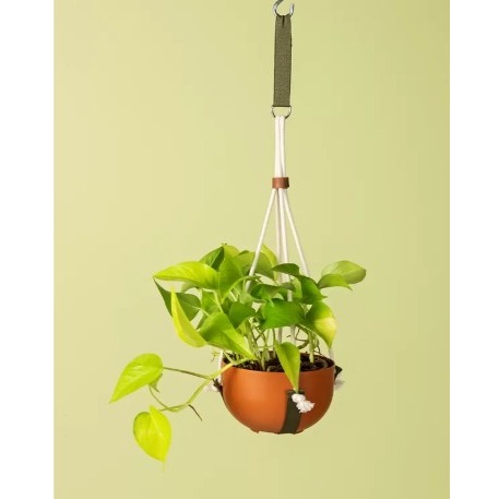 Alça para Pendurar Plantas Prática e Resistente