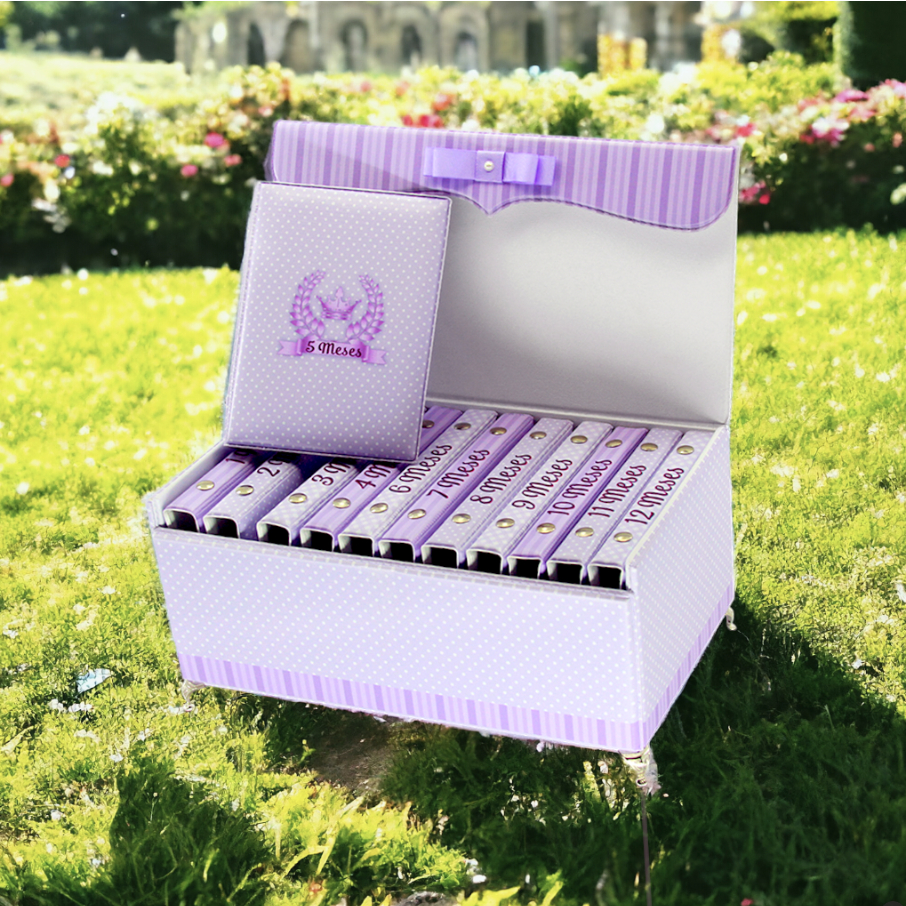 Box Mesversario 12 álbuns para 480 fotos 10x15 - Tema Princesa Lilás Luxo - Infantil Bebê