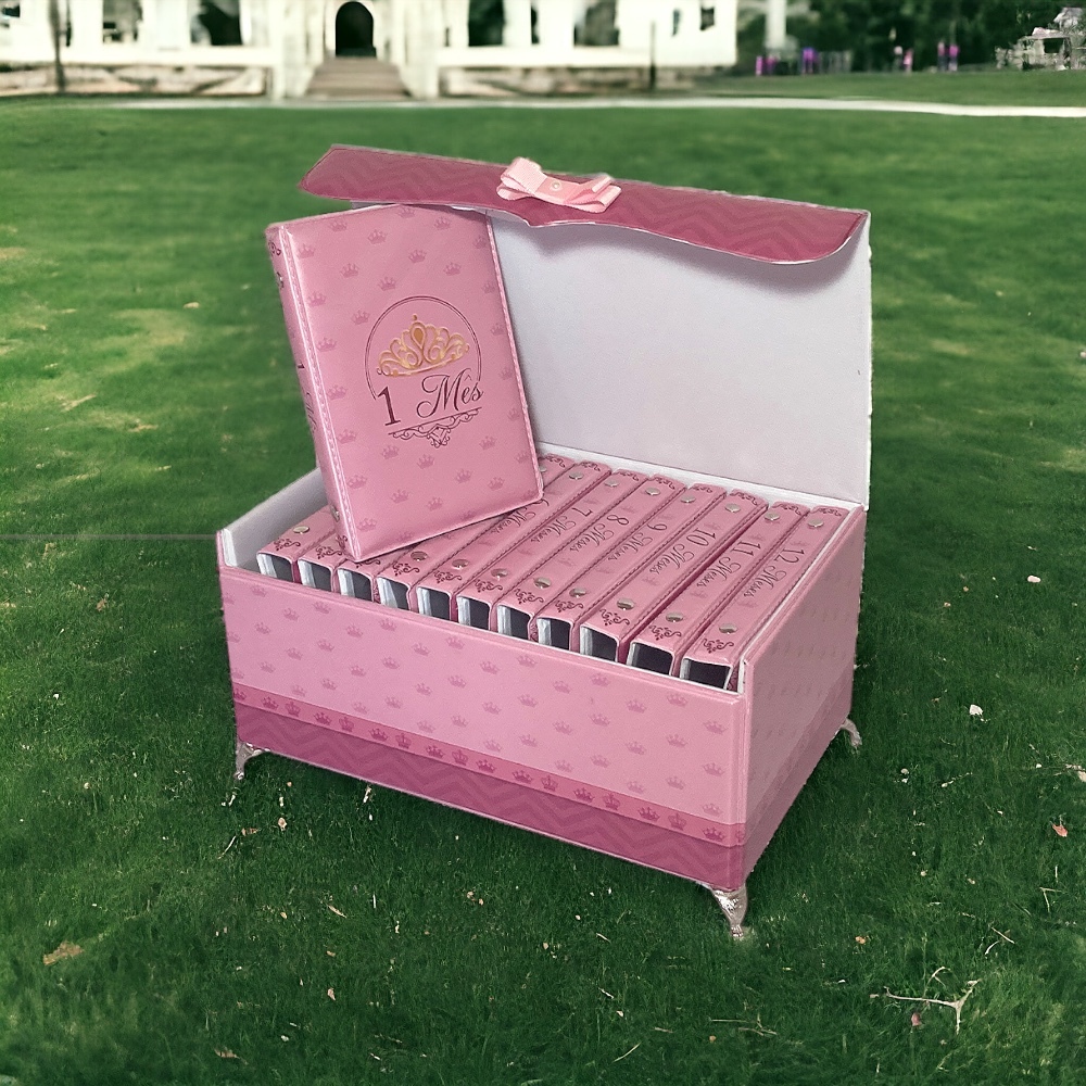 Box Mesversario 12 álbuns para 480 fotos 10x15 - Tema Princesa Bordo Claro Luxo - Infantil Bebê