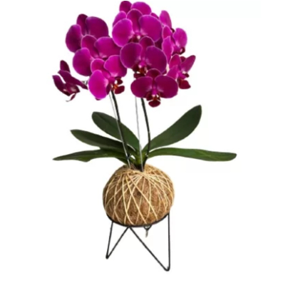 Suporte para Plantas Kokedama T11- Compativel Vaso 11 - Cor Preta