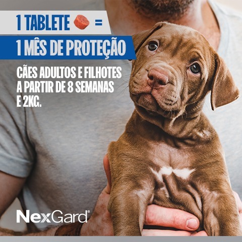 Detalhes do ANTIPULGAS E CARRAPATOS NEXGARD P/ CÃES 2 Á 4 KG ORIGINAL 1 TABLETE MÁSTIGAVEL