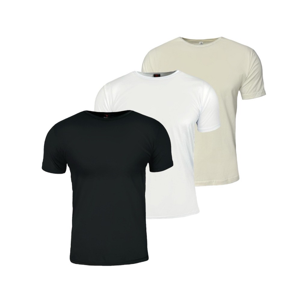 Kit 3 Camisetas Masculina Casual Lisa Academia 100% Algodão 30.1 Ducam - Men Clothes