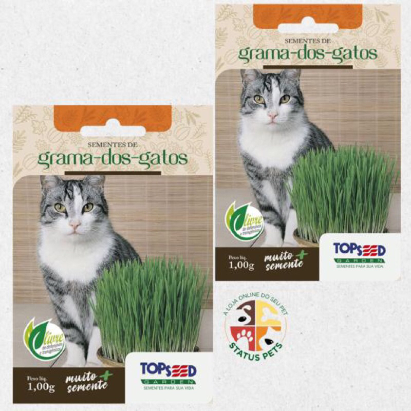 Kit 2 sementes Grama dos gatos topseed 1g em Oferta na Shopee