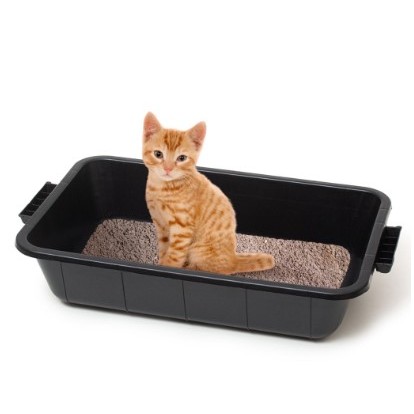 Caixa De Areia Para Gato 20l Borda Alta Reforçada Grande - Zumplast