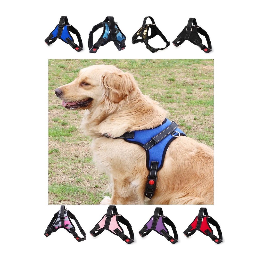 Coleira Peitoral para Cachorros - Resistente, Reforçada e Segura - Cães de pequeno e Grande porte