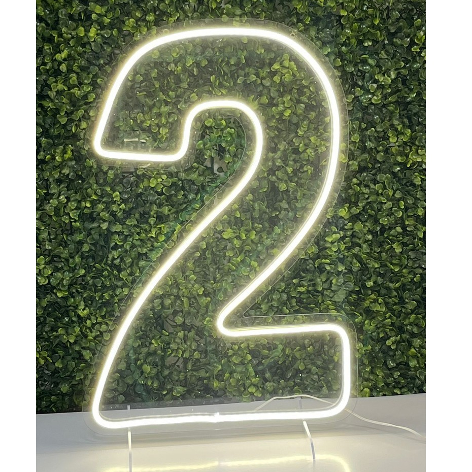 Número Neon Led 50cm de 0 ao 9 Luminoso Aniversários-1 unidade em Oferta na Shopee
