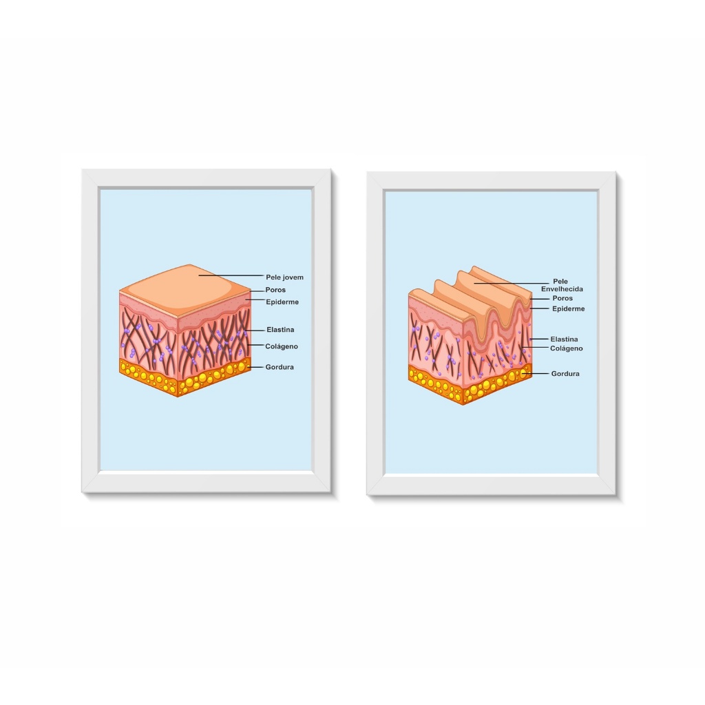 Kit 2 Quadros Decorativos Pele Dermatologia Medicina Molduras 20x30cm Madeira Vidro Cor Brancas