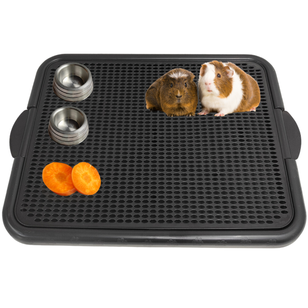 Tapete Sanitário Banheiro Higiênico Porquinho Da Índia Coelho Xixi Pet em Oferta na Shopee