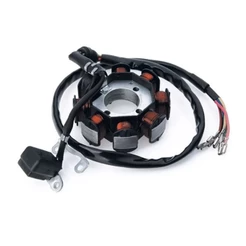 Estator Completo Dafra Speed 150 2008 2009 2010 Á 2015 Pulsa