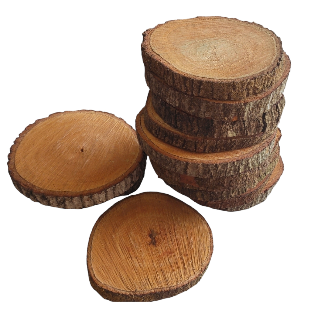 Bolacha Tronco Árvore: Onde Comprar | BuscaProdutos