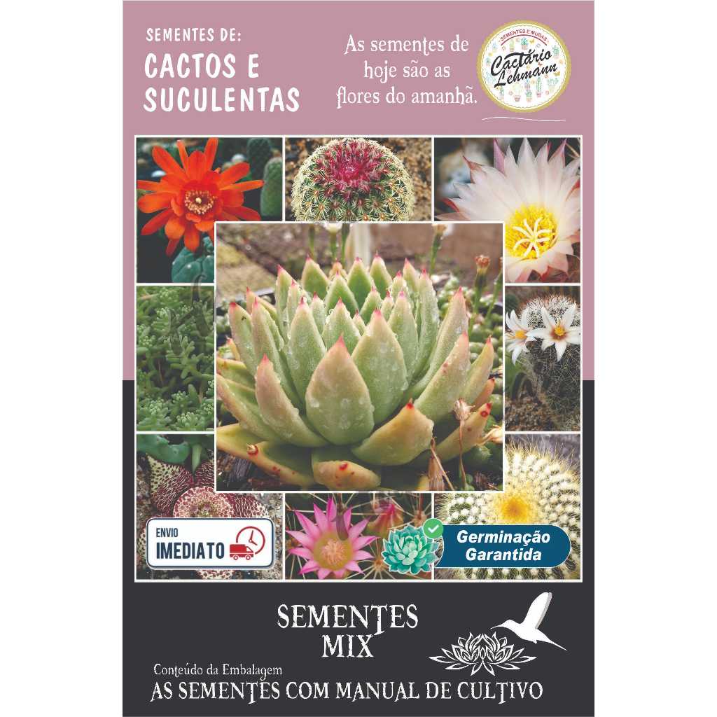 Suculentas 1000 Sementes E Mini Cacto com manual de cultivo sementes garantidas