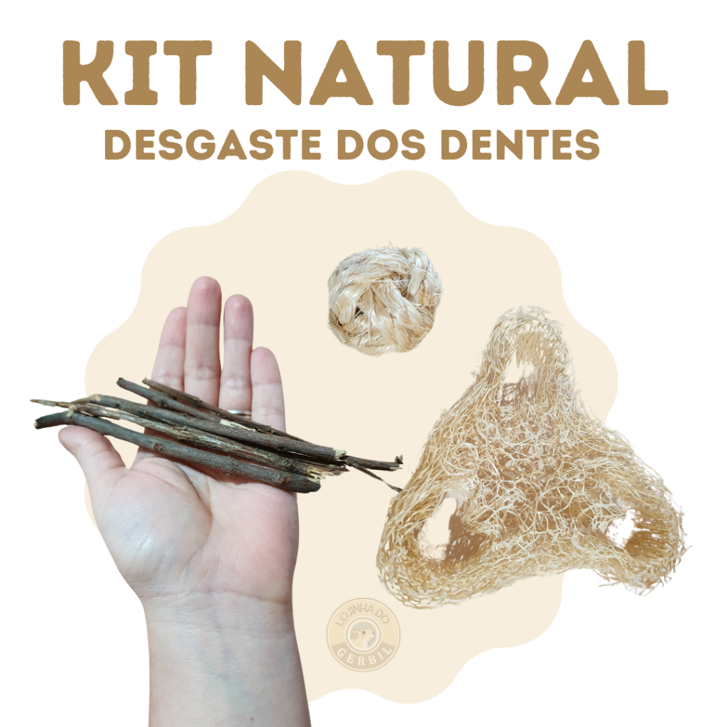 Kit Natural para desgaste dos dentes de hamster, gerbil, coelho, PDI, twister...
